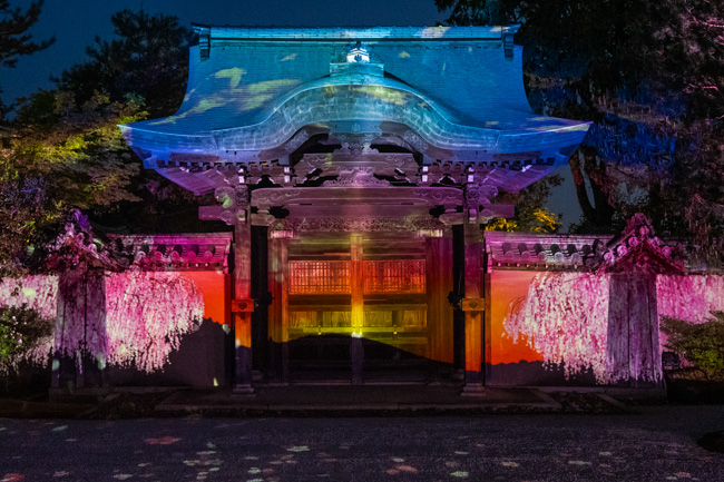 高台寺のプロジェクションマッピング