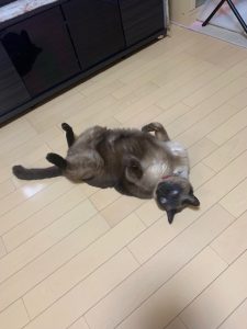 熱中症対策